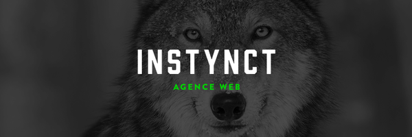 InstynctWeb Profile Banner