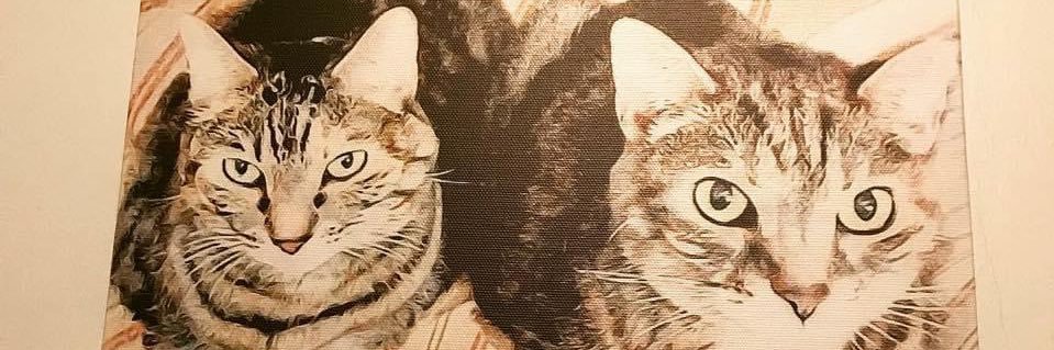YolandaRN's profile banner image