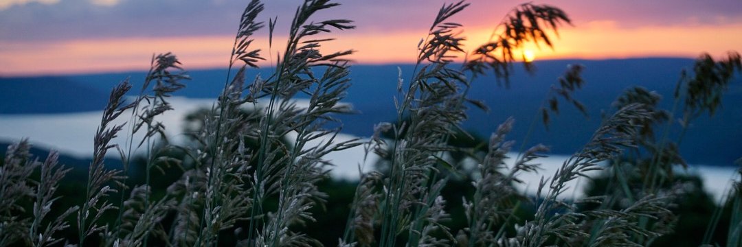 DanBrezinsky's profile banner image