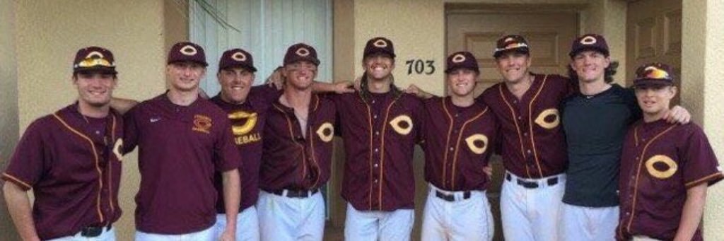 Concordia Baseball's banner
