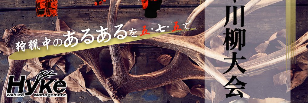 HykeStore's profile banner image