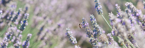 OurEOExperience Profile Banner