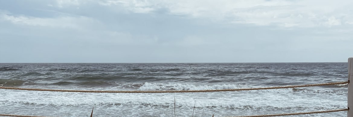 nourswayed's profile banner image