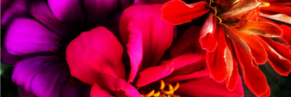 HeyHayleyMusic Profile Banner