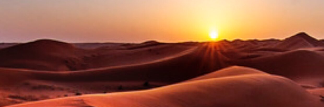 driweeshan's profile banner image