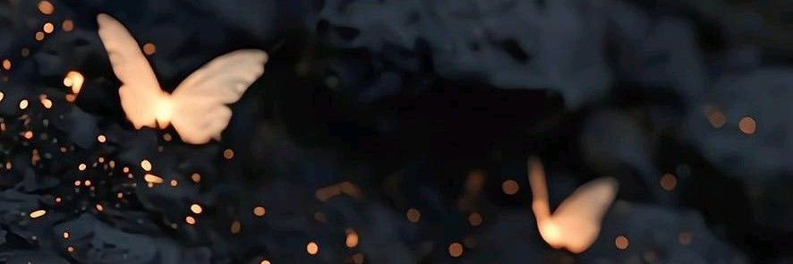 aoey____'s profile banner image