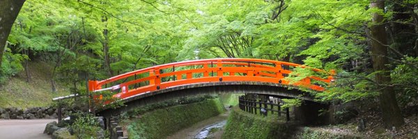 475802's profile banner image