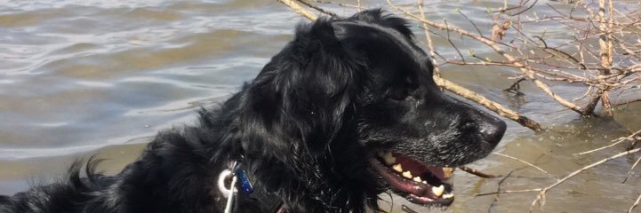 jemborsky45's profile banner image