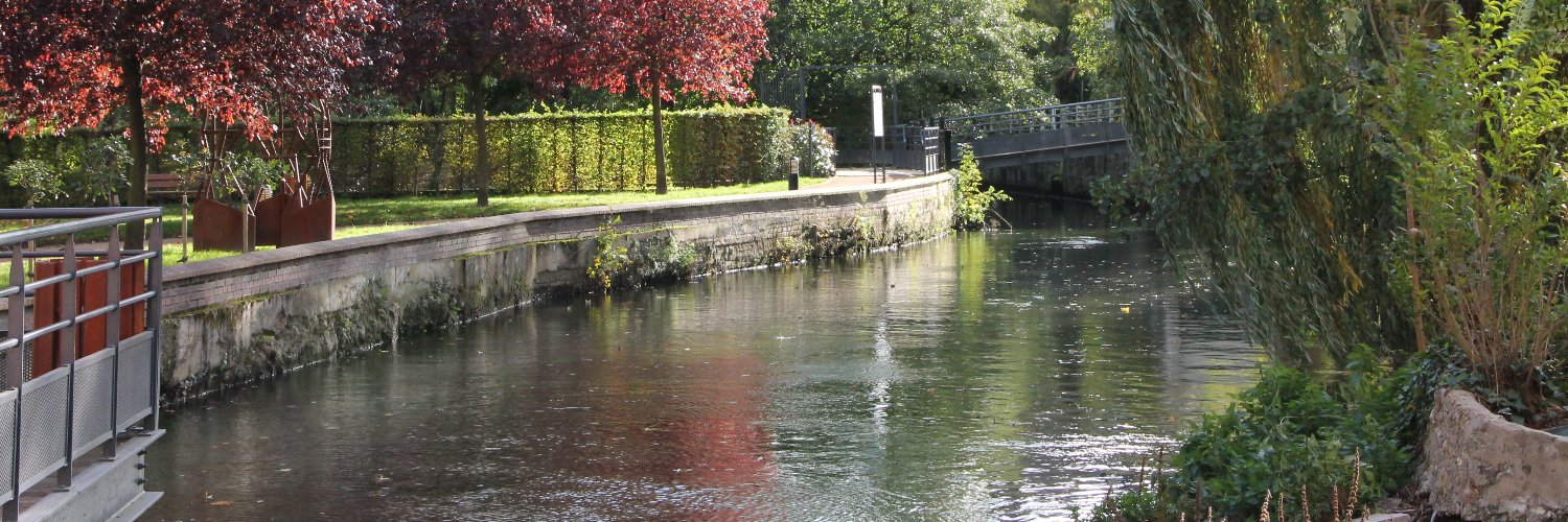 Corinne D 🇫🇷🇪🇺 banner