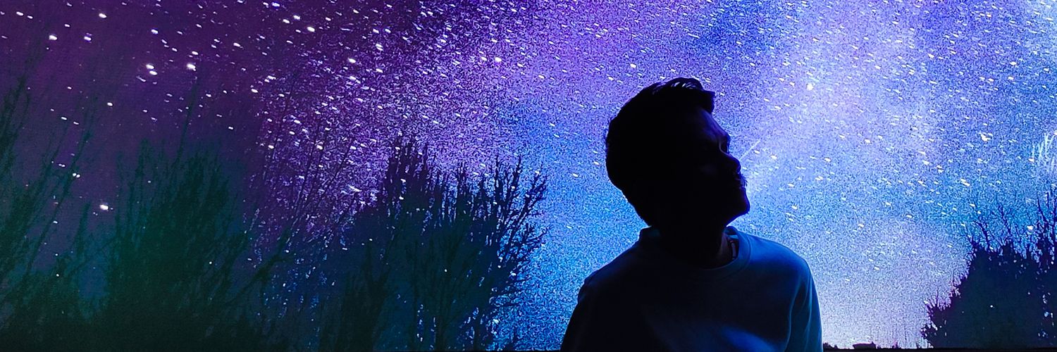 seigfigs's profile banner image