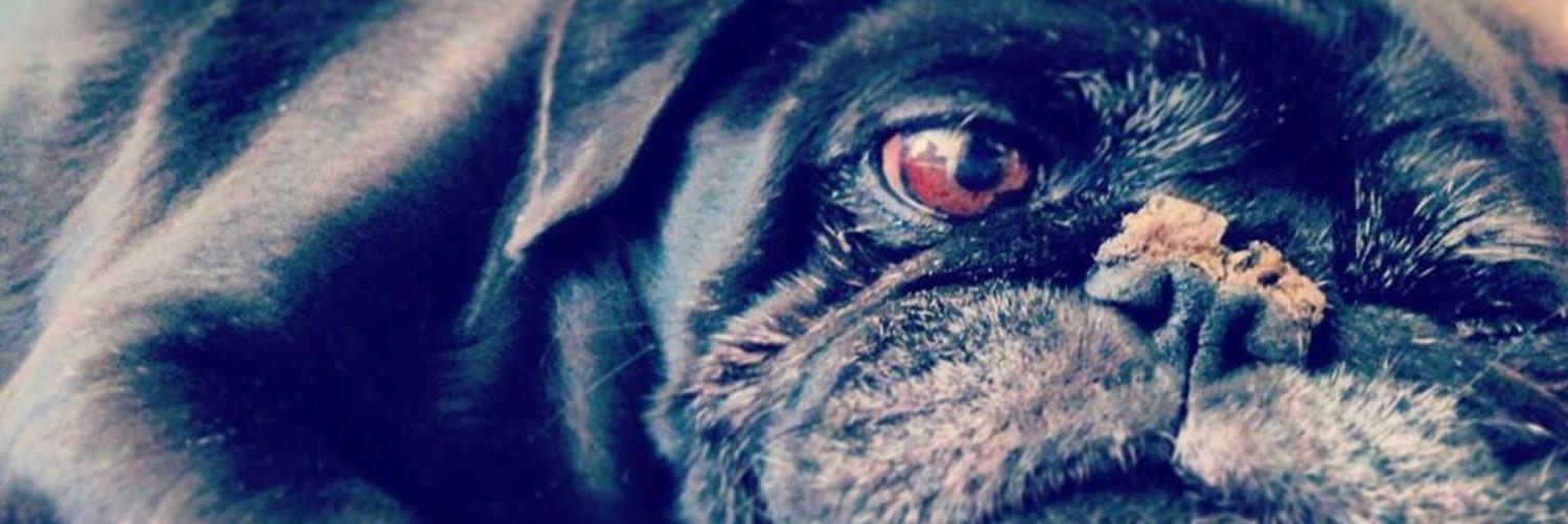 Alejac's profile banner image