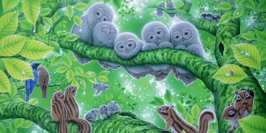 Owlitude's profile banner image