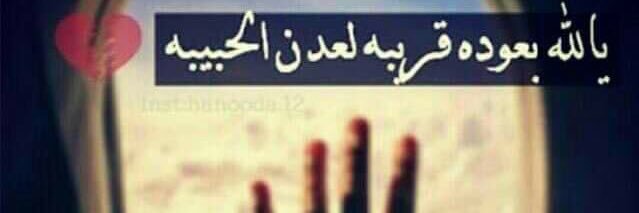 shaimauk's profile banner image