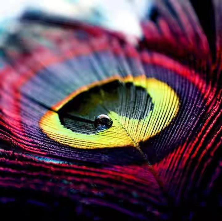 vinita____'s profile banner image