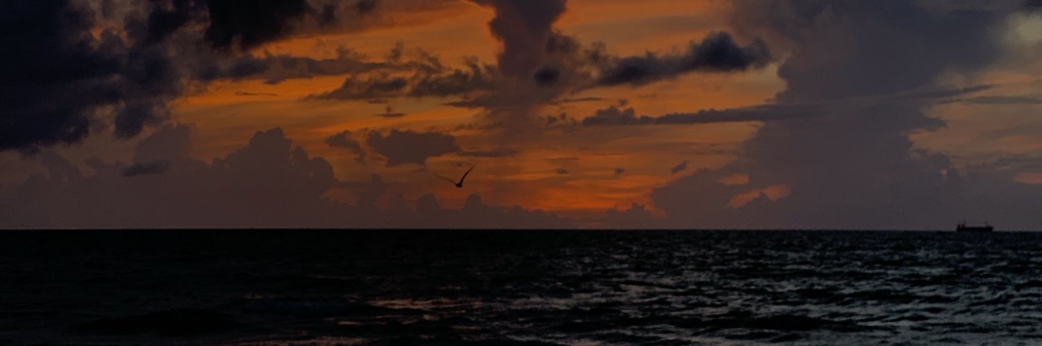 reesseeyyy's profile banner image