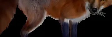 abdalsavaedi_ed's profile banner image
