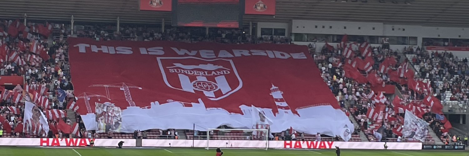 Northern Black Cat banner