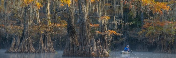 🌶️I'm Amazed Bayou🌶️ banner