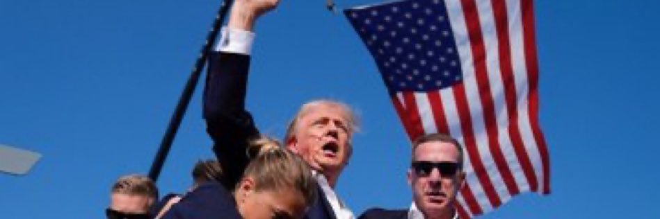 Gorilla and the Beast🇺🇸 banner