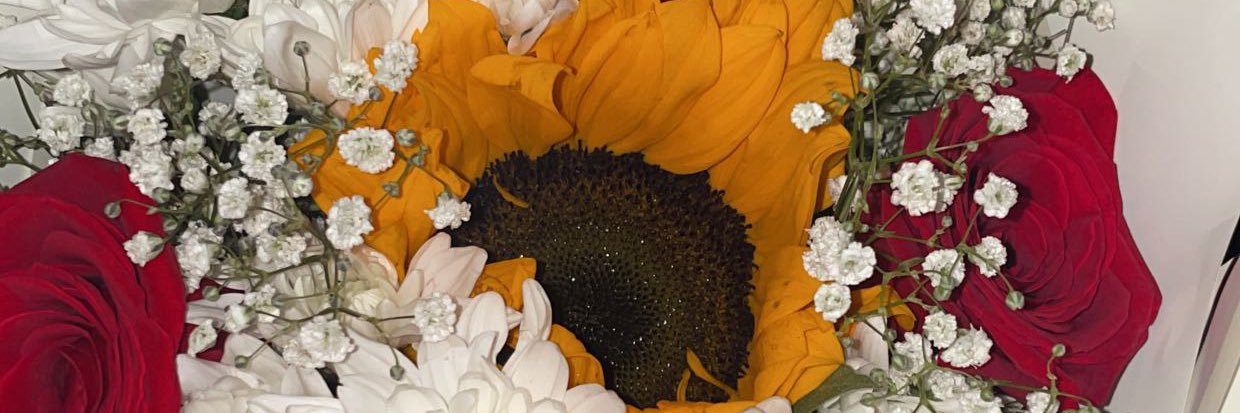 alyssannz's profile banner image