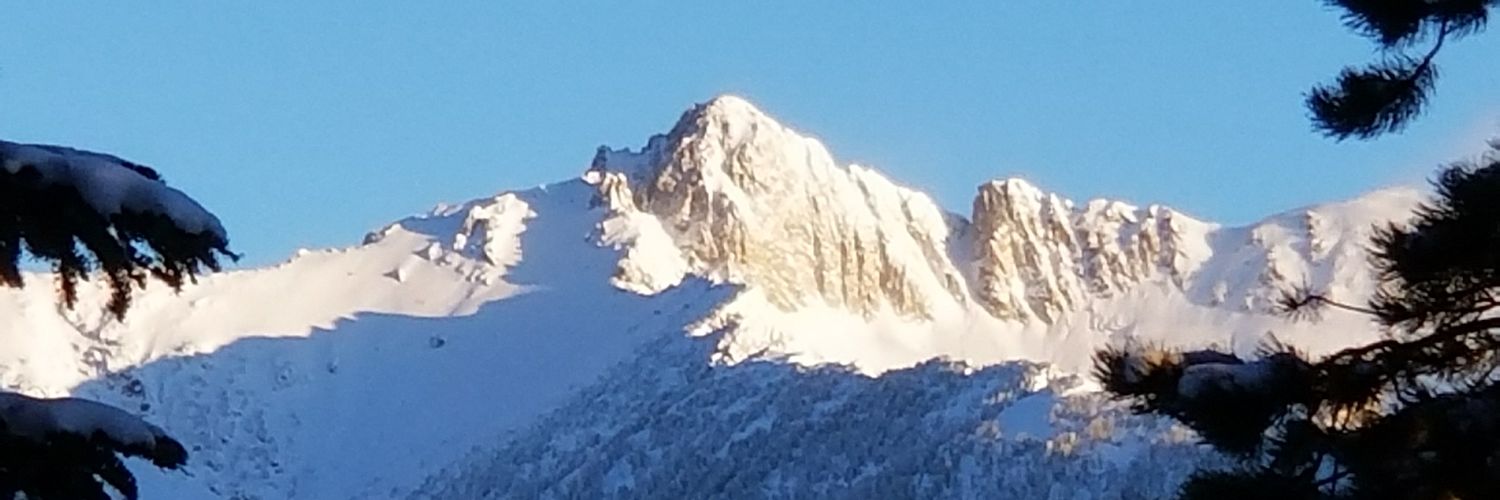 TraderWill33's profile banner image