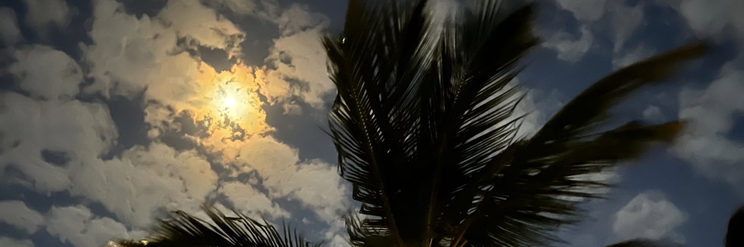 lanikari_'s profile banner image