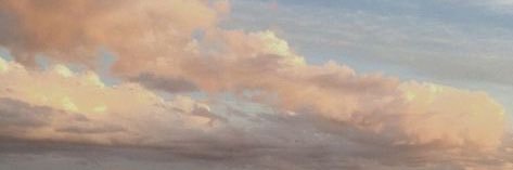 pinkzel_35's profile banner image