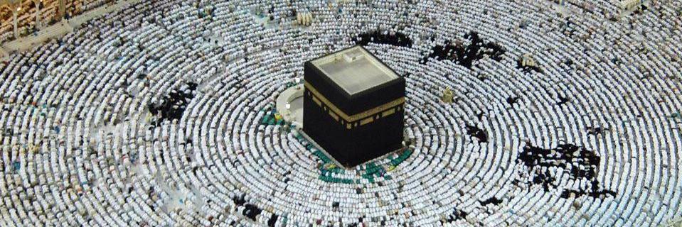 Salima_Mansouri's profile banner image