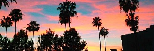 iameelin's profile banner image
