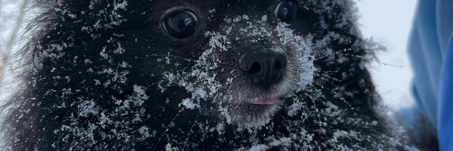 ibaileyjj's profile banner image