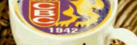 Graciela Rapisarda banner