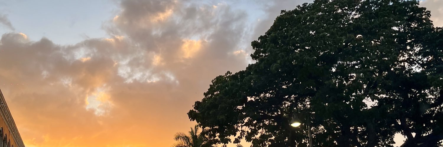 Camiliups's profile banner image