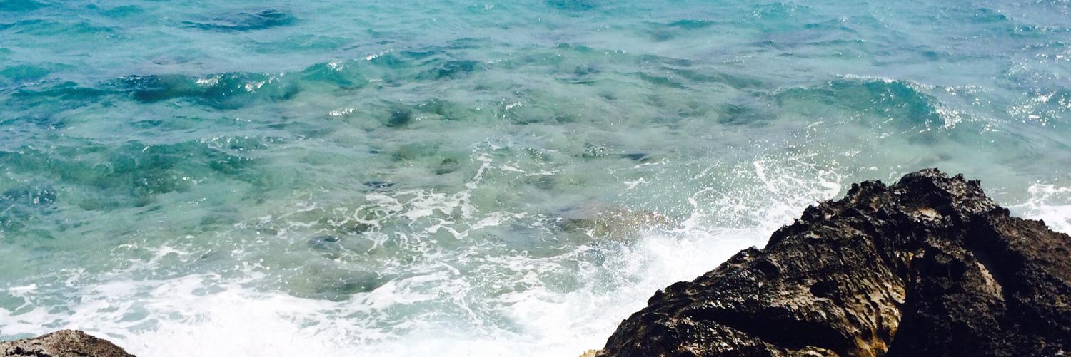 Bermudafulisles's profile banner image