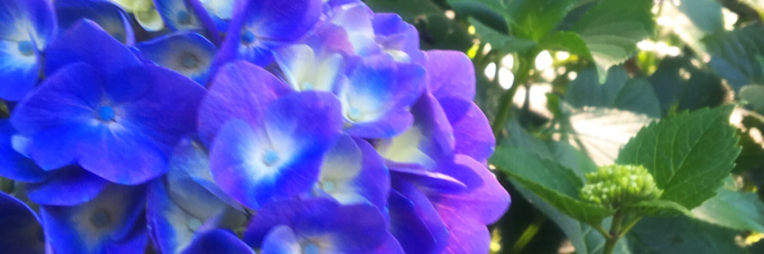 oh21eri's profile banner image