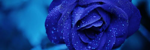 FrancescamcTV's profile banner image