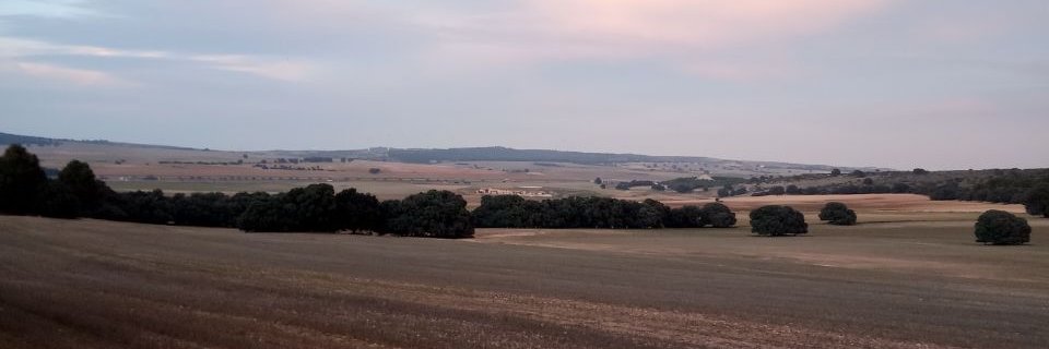 josuas451's profile banner image
