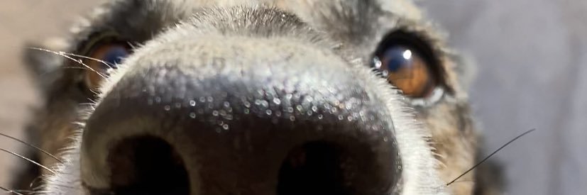 pacogzz18's profile banner image