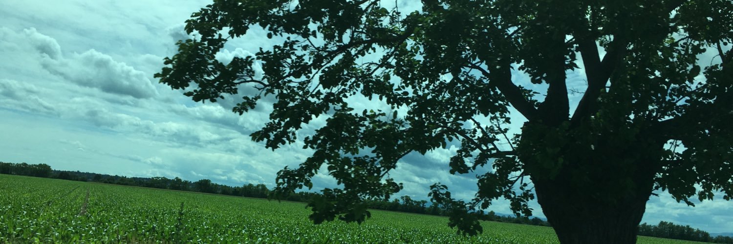 RShuhan's profile banner image