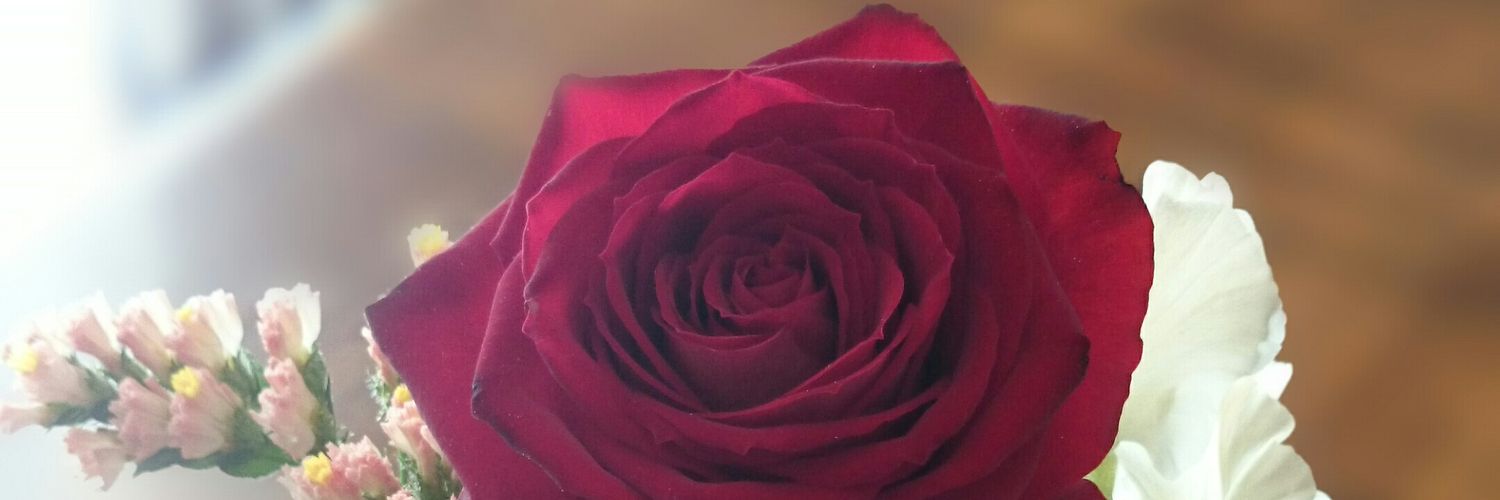 aoi13_'s profile banner image