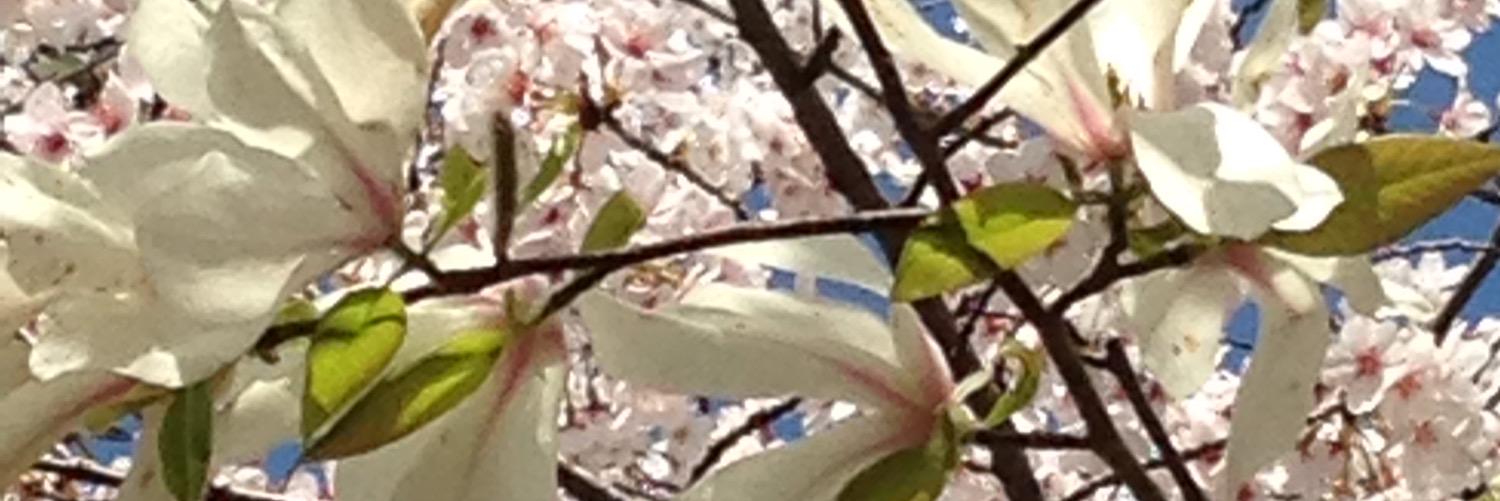 TheThankyou's profile banner image