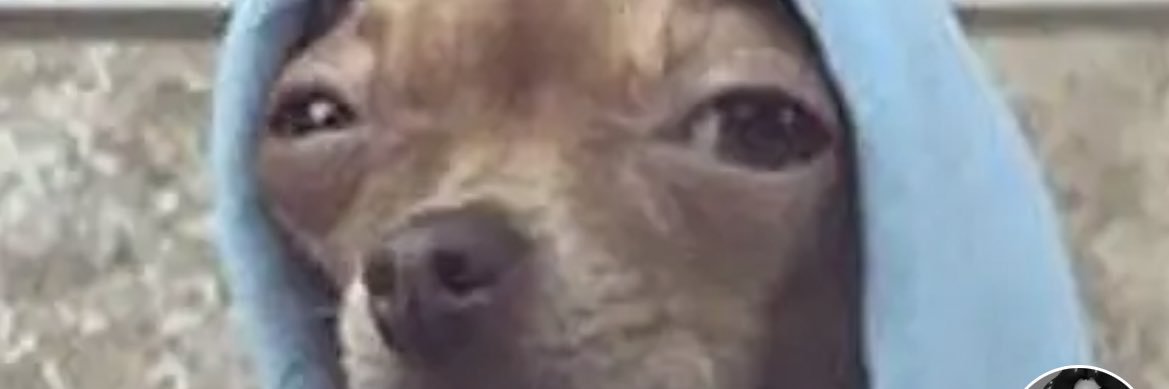 lilprincessbree's profile banner image