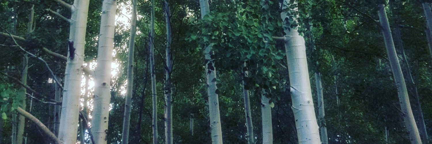 peaceofjunkllc's profile banner image