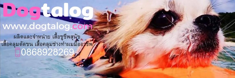 dogtalog's profile banner image