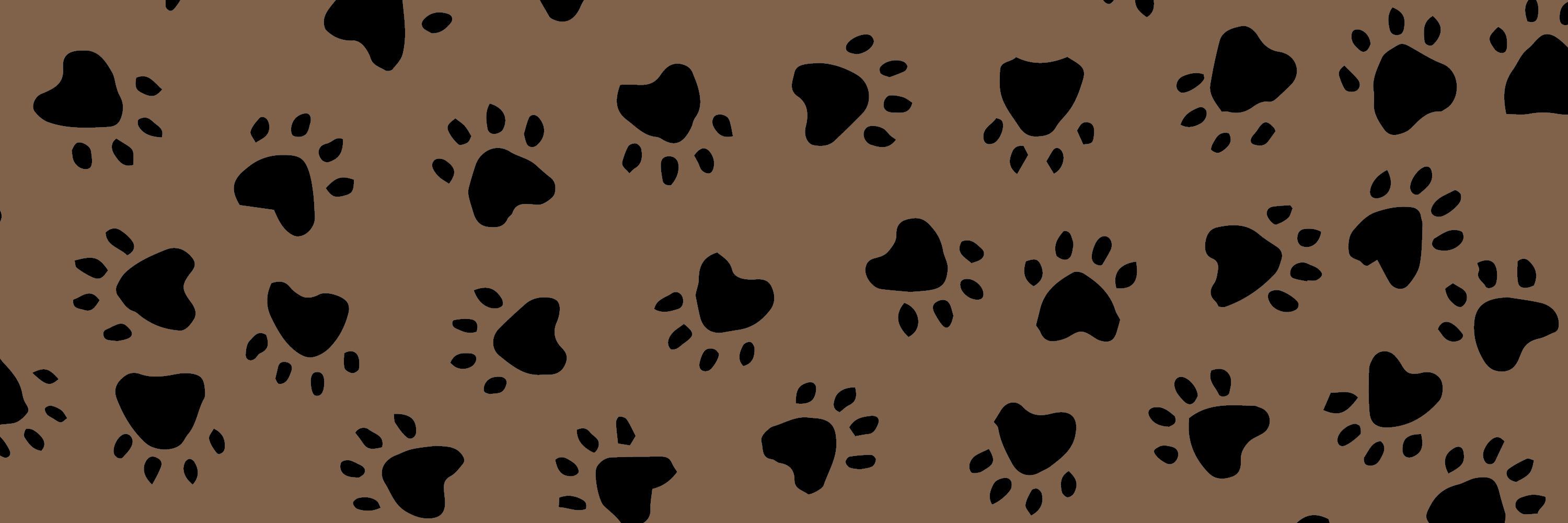 PawPrints2015's profile banner image