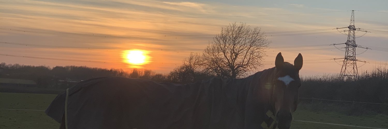 HarrietThorpxo's profile banner image