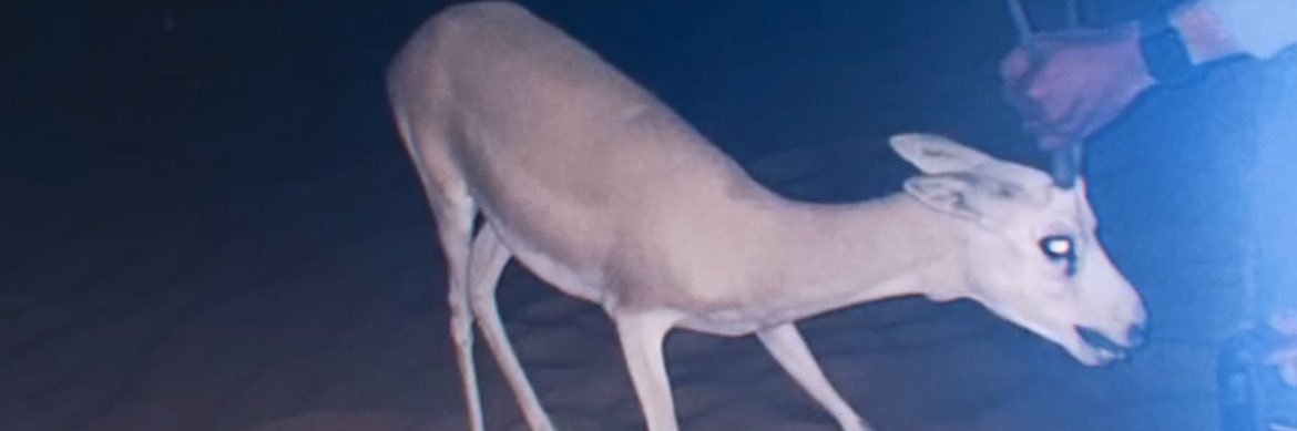 U4H's profile banner image