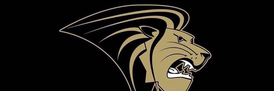 Lindenwood Strength banner