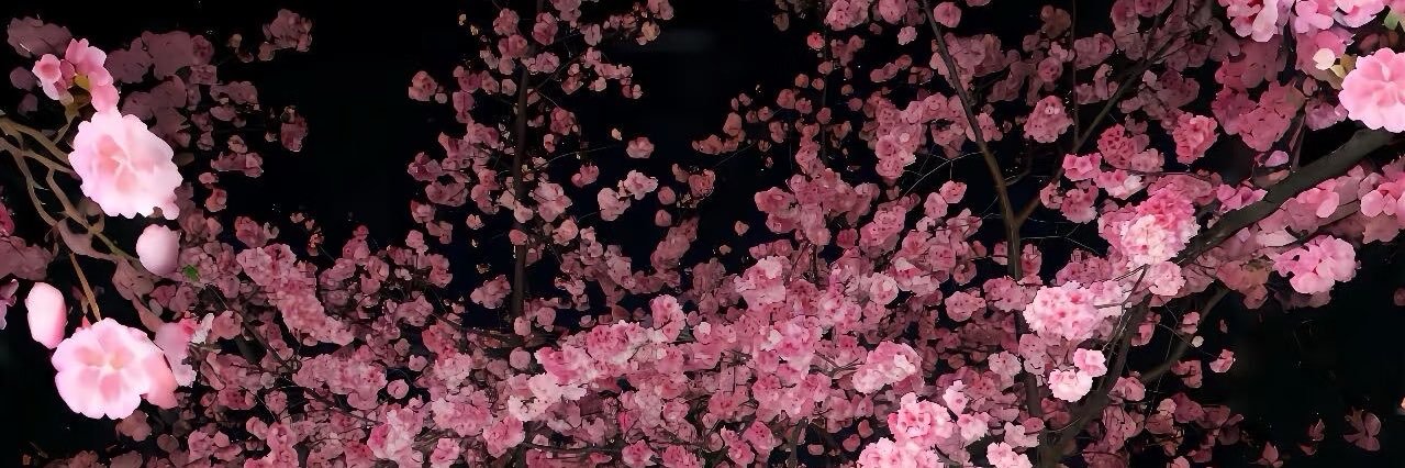 Imamandaaa_'s profile banner image