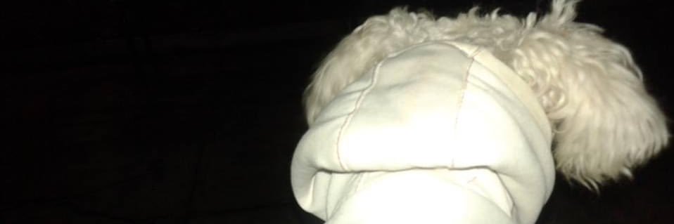 _sugarmann_ banner