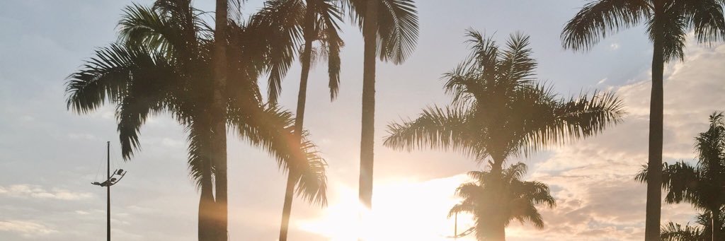 lorrany144's profile banner image